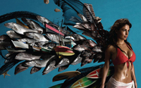 网页攻击平台